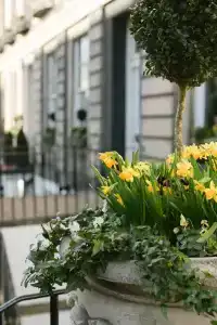 Nira Caledonia - 17