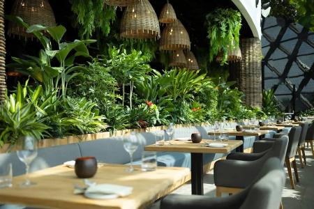 Dusit Thani Laguna Singapore (Sg Clean) - 38