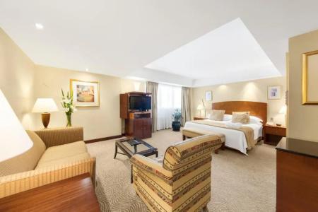 Melia Buenos Aires - 134