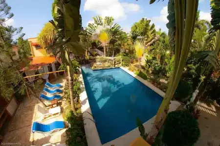 Residence Tropical Garden - 15