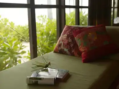Zeavola Resort-Sha Extra Plus - 14