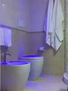 Grand Royal - 6