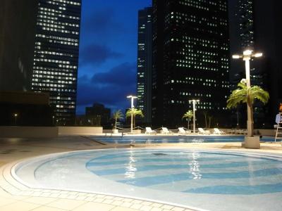 Keio Plaza Tokyo - 39