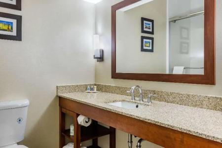 Comfort Suites Walnut Creek - 45