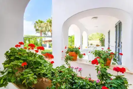 Residence San Domenico - 26