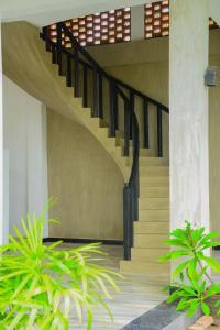 Star White - Negombo - 7
