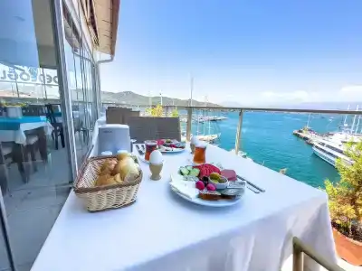 Dedeoğlu - 11