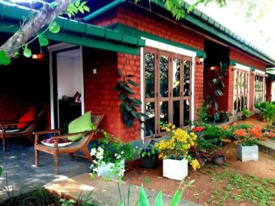 Sunshine Resort & Spa Sigiriya - 35