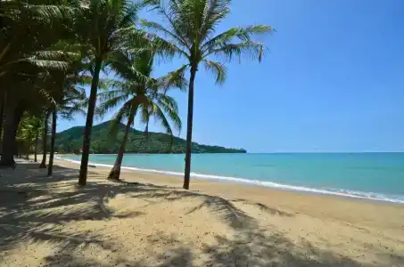 PapaCrab Boutique Guesthouse - 1