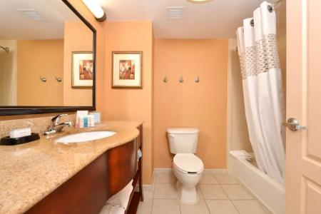 Hampton Inn and Suites South - 36