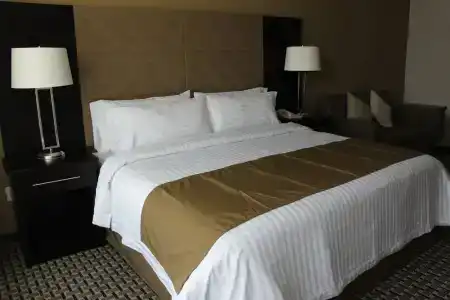 Holiday Inn Mexico Santa Fe, An Ihg - 34