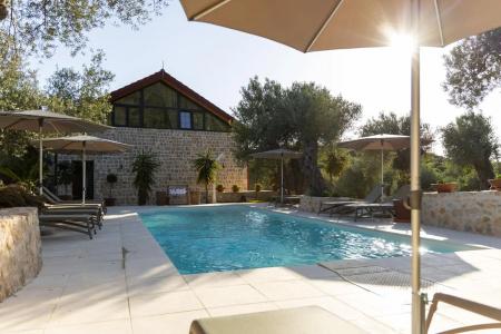 Mashtra - The Olive House - 11