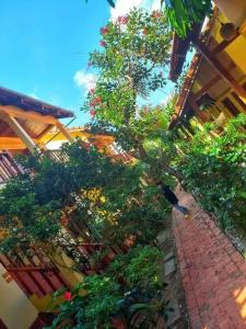 Viet Thanh Resort - 50