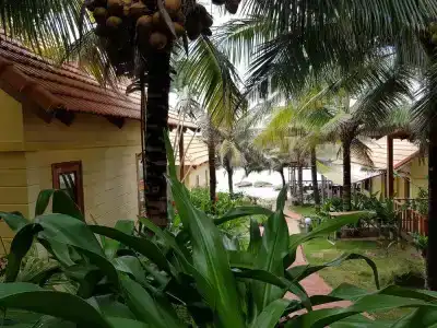 Free Beach Resort - 145