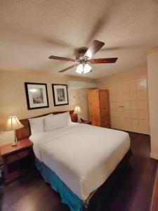 Divya Sutra Suites on Robson Downtown - 31
