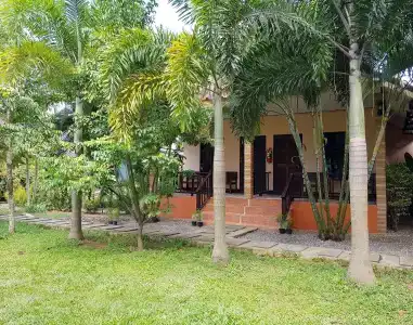 Naraya - 12