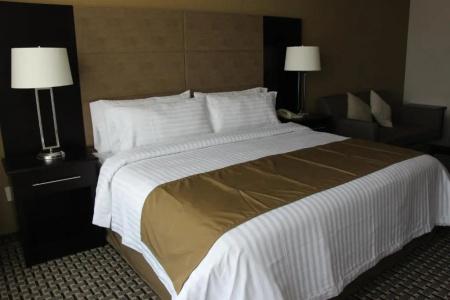 Holiday Inn Mexico Santa Fe, An Ihg - 24