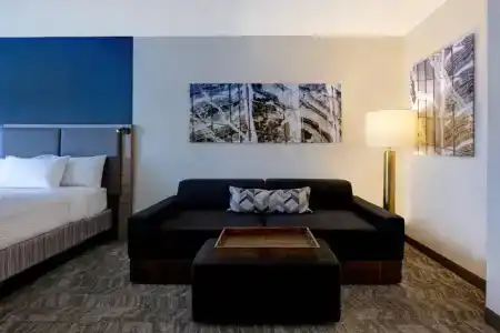 SpringHill Suites by Marriott - 49