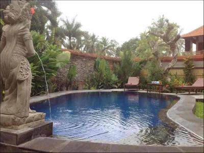 Budhi Ayu Villas - 12