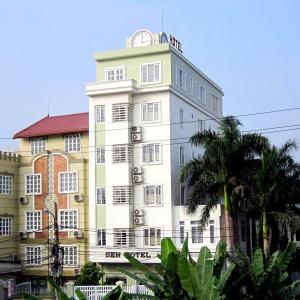 Sen Hai Phong - 0