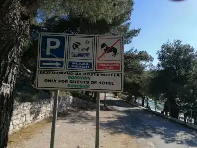 Borovnik - 39