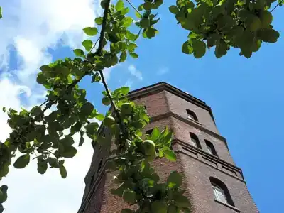 Alexianer am Wasserturm - 42