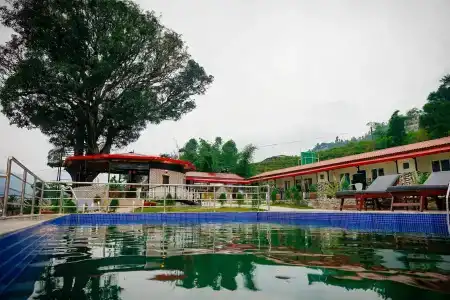 Alfanzoo - 2