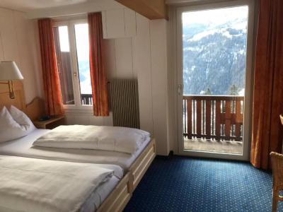 Bellevue-Wengen - Best view in town! - 65