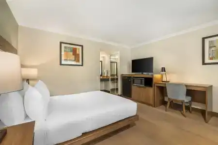 Best Western Plus - 43