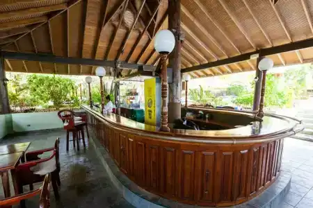 Tropical - 8