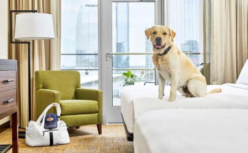 Embassy Suites by Hilton Nashville - 70