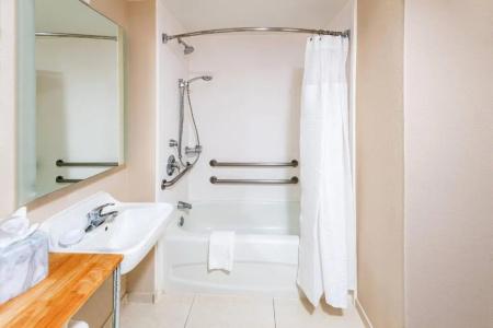 Springhill Suites Houston Medical Center / Nrg Park - 48