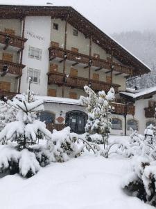 Alpine Touring-petfriendly - 0