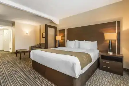Comfort Suites Downtown - 40