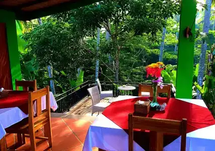 Dupa Ubud Villa - 22