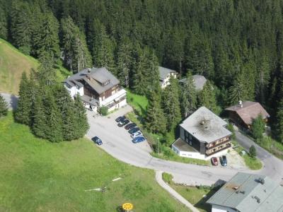 Arlenwald - 15