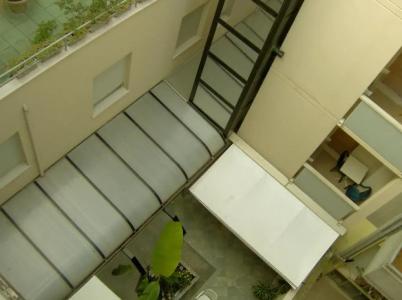 Cavalluccio Marino - 51