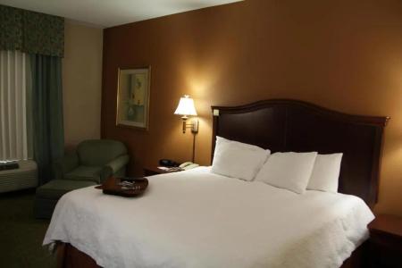 Hampton Inn - Northwest I-37 - 35