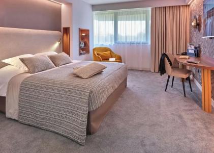 Best Western Plus Metz Technopole - 117