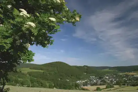 Best Western Plus Willingen - 25