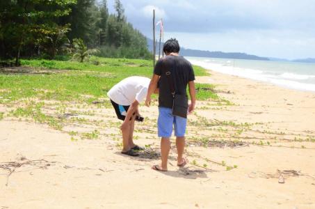Khaolak Suthawan Resort - Sha Plus - 28
