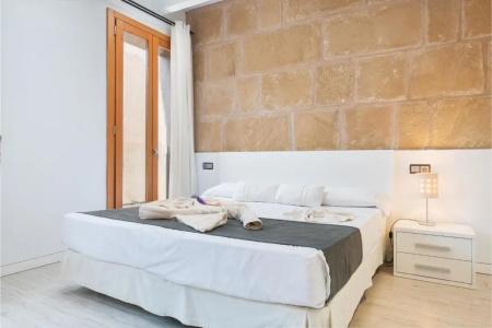 Alcudia Petit - Turismo de Interior - 69