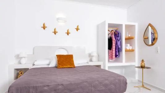Petri Suites - 141