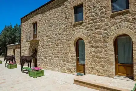 La Quercia e l'Asino - 17