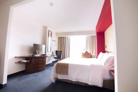 Holiday Inn Express Guadalajara Expo, An Ihg - 45
