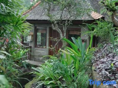 Warwick Ibah Luxury Villas & Spa - 54