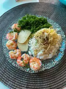 Seaside Vip40 - 10