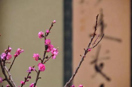 Ryokan Urashima - 51
