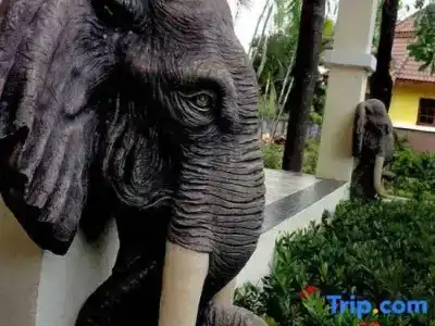 Rangsiman Garden - 26
