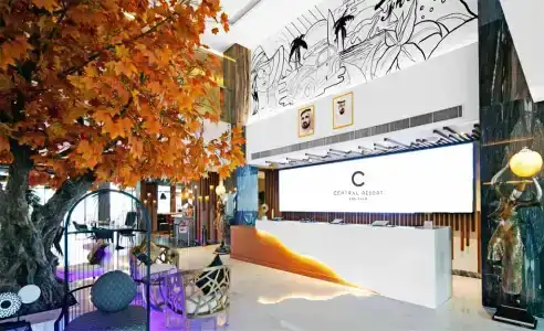 C Central and Resort The Palm - 1